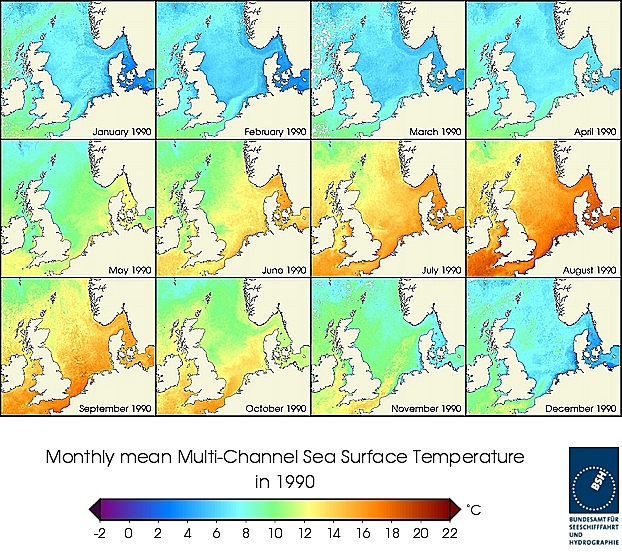 Monatsmittel der Wasseroberflächentempertur eines Jahres