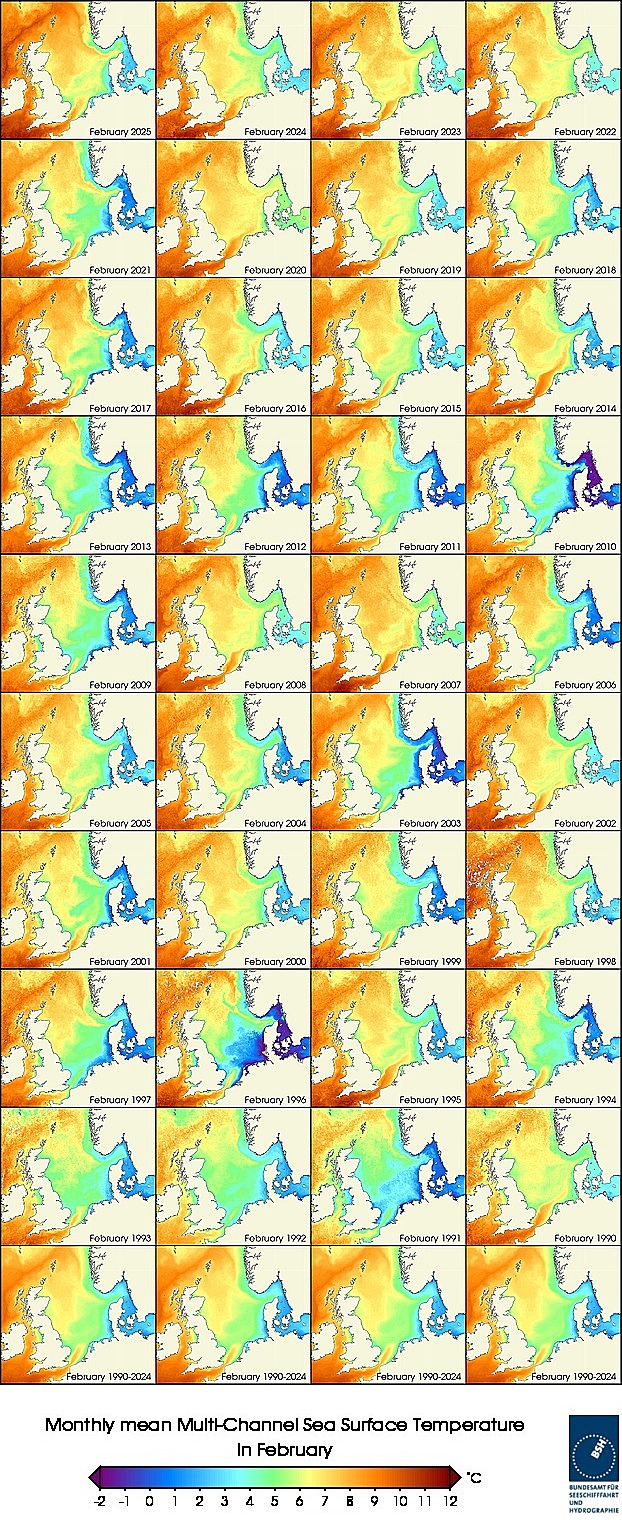 Temperaturkarten eines Monats seit 1990