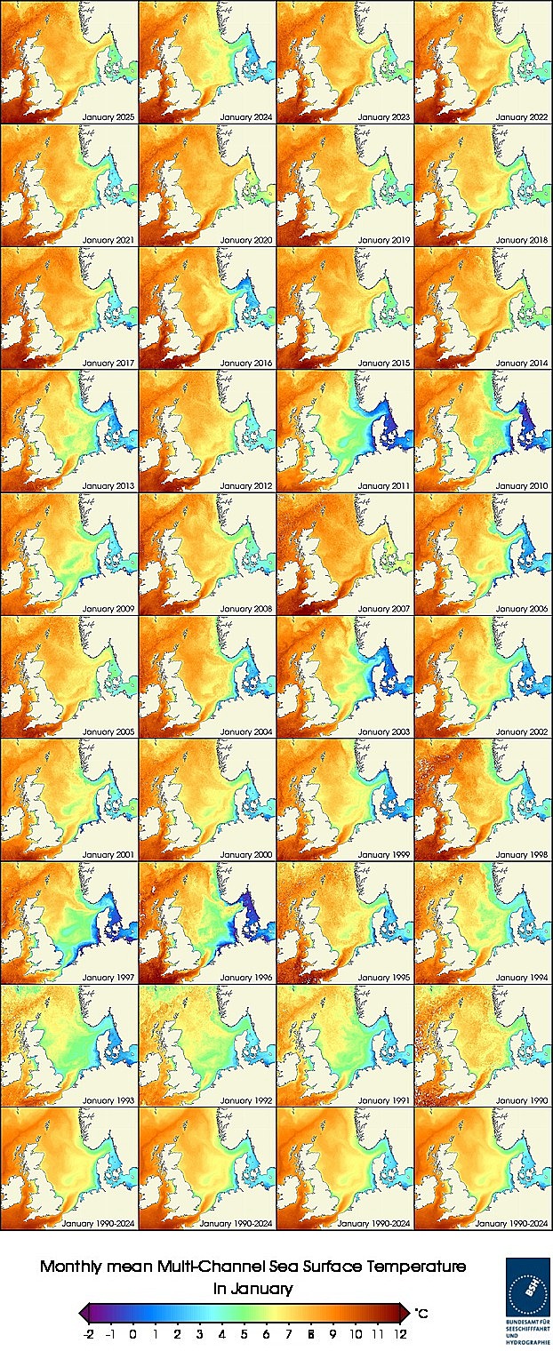 Temperaturkarten eines Monats seit 1990