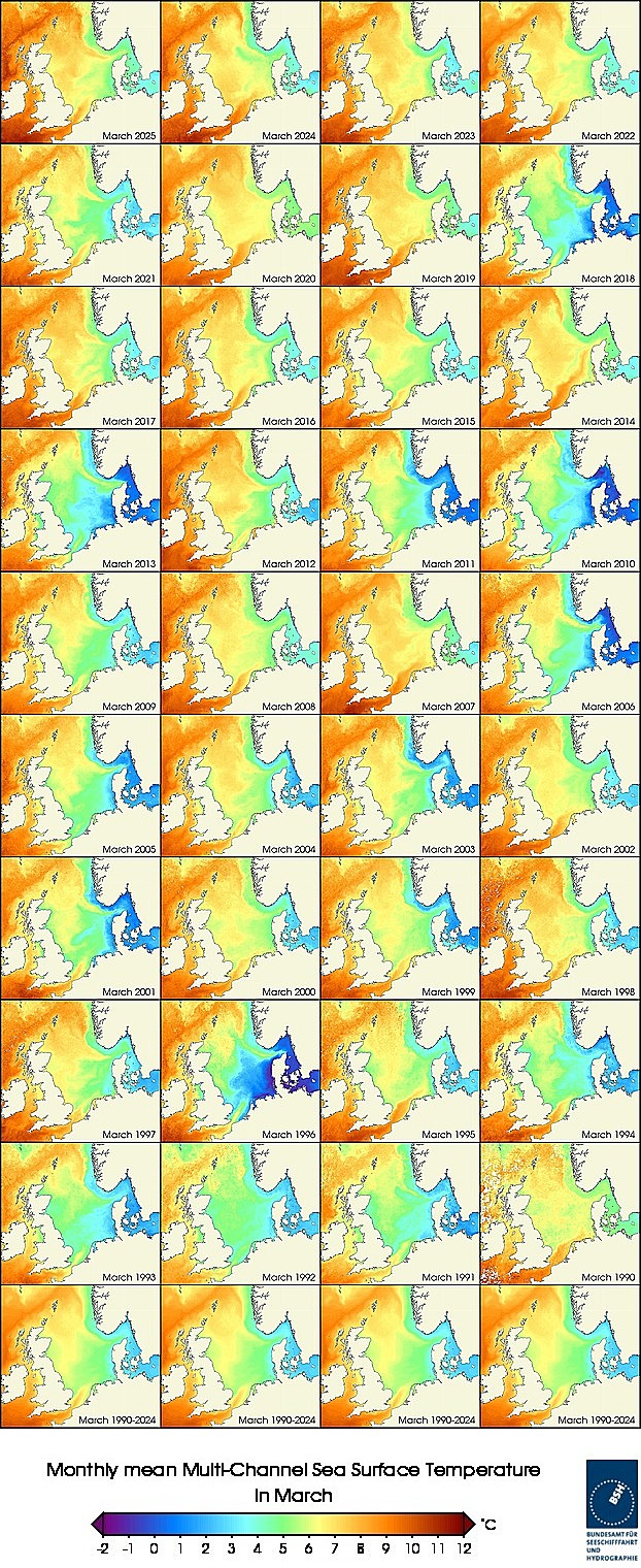Temperaturkarten eines Monats seit 1990