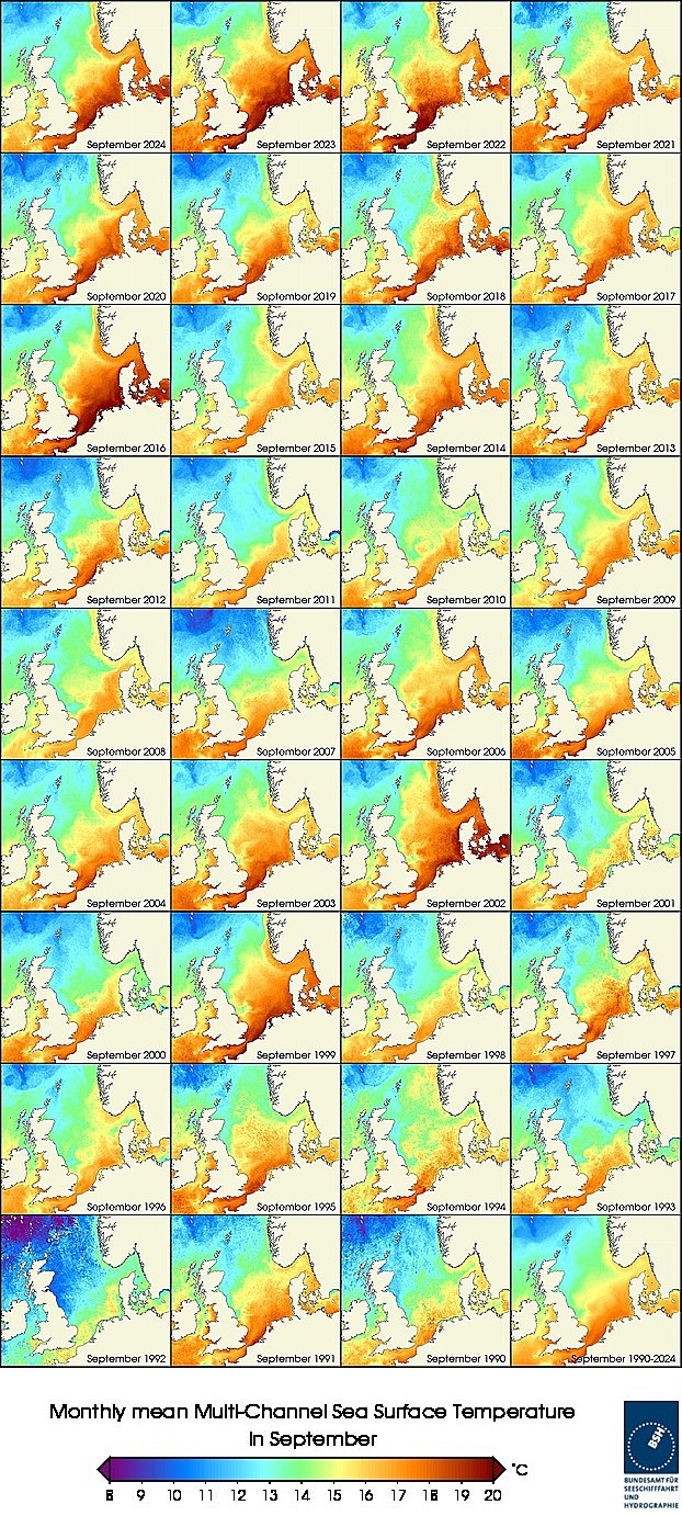 Temperaturkarten eines Monats seit 1990