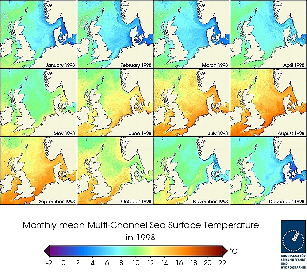 Monatsmittel der Wasseroberflächentempertur eines Jahres