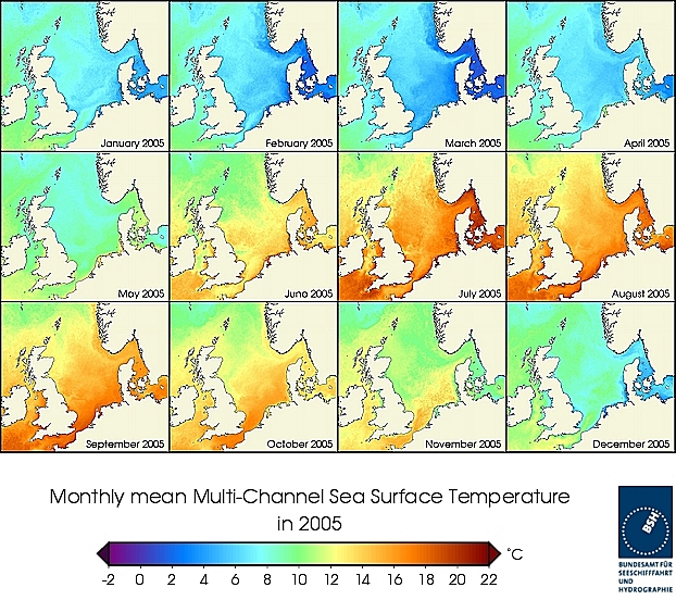 Monatsmittel der Wasseroberflächentempertur eines Jahres