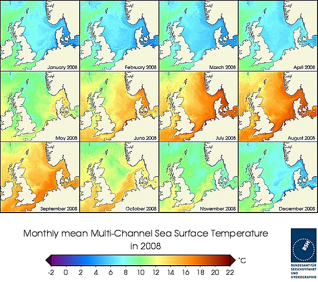 Monatsmittel der Wasseroberflächentempertur eines Jahres