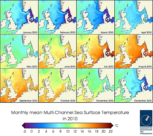 Monatsmittel der Wasseroberflächentempertur eines Jahres