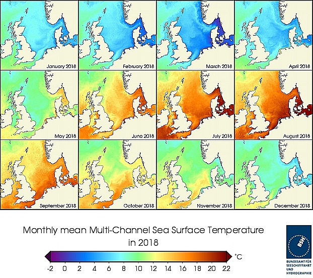 Monats-Temperaturkarten des Jahres 2018
