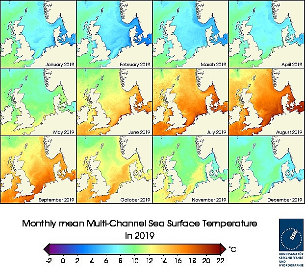 Monats-Temperaturkarten des Jahres 2019