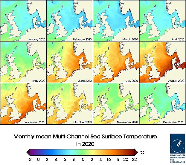 Monats-Temperaturkarten des Jahres 2020