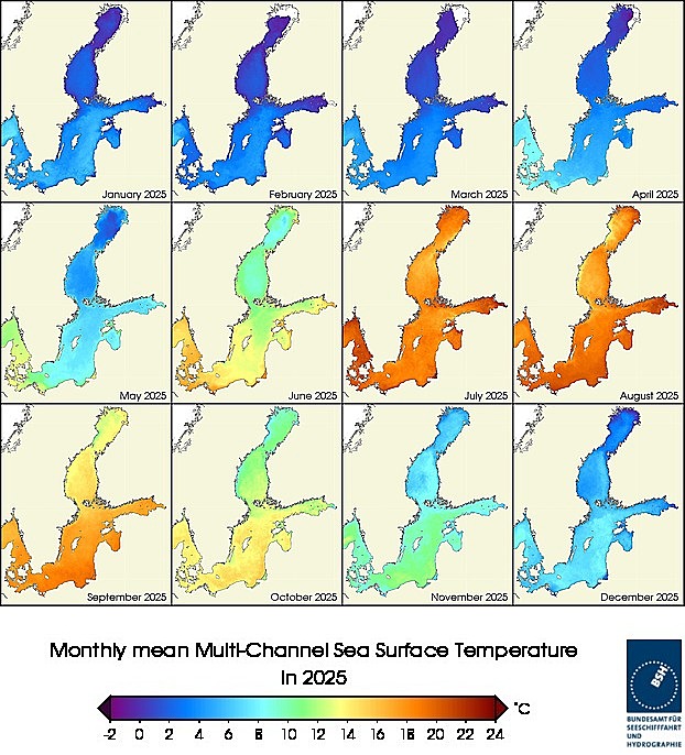 Monats-Temperaturkarten des Jahres 2025