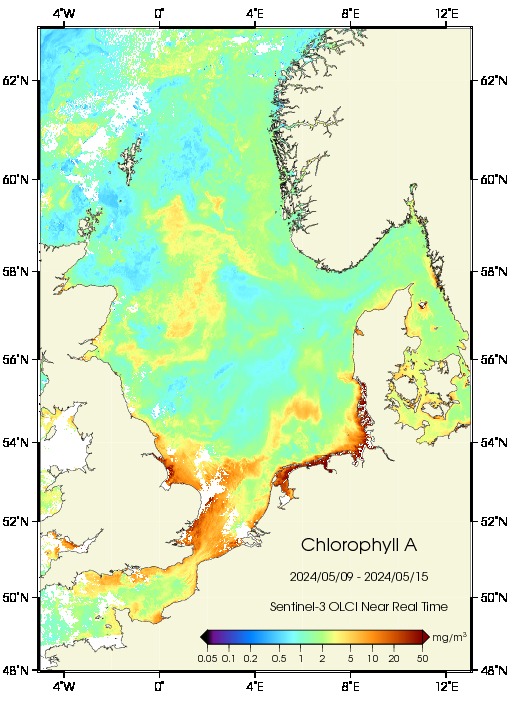 Chlorophyllverteilung in der Nordsee
