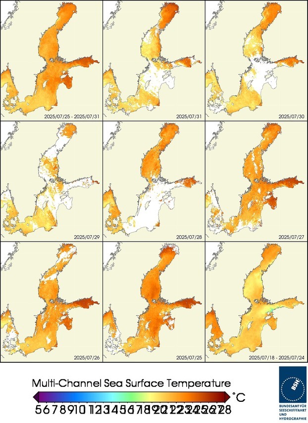 Temperaturkarten der aktuellen Woche und der einzelnen Tage